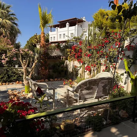 Hanci Evleri Apartment *