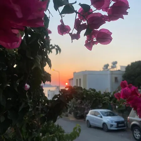 Hanci Evleri Apartment Karabag